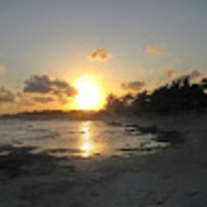 Meet your Posher, Ellen